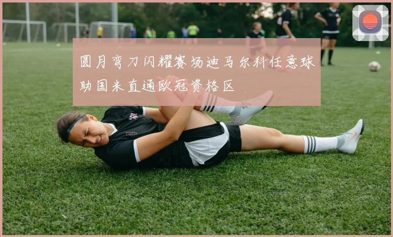 圆月弯刀闪耀赛场迪马尔科任意球助国米直通欧冠资格区