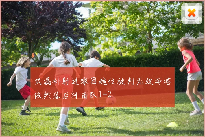 武磊补射进球因越位被判无效海港依然落后河南队1-2